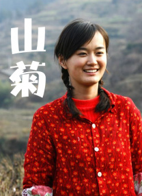 1080HD手机在线观看